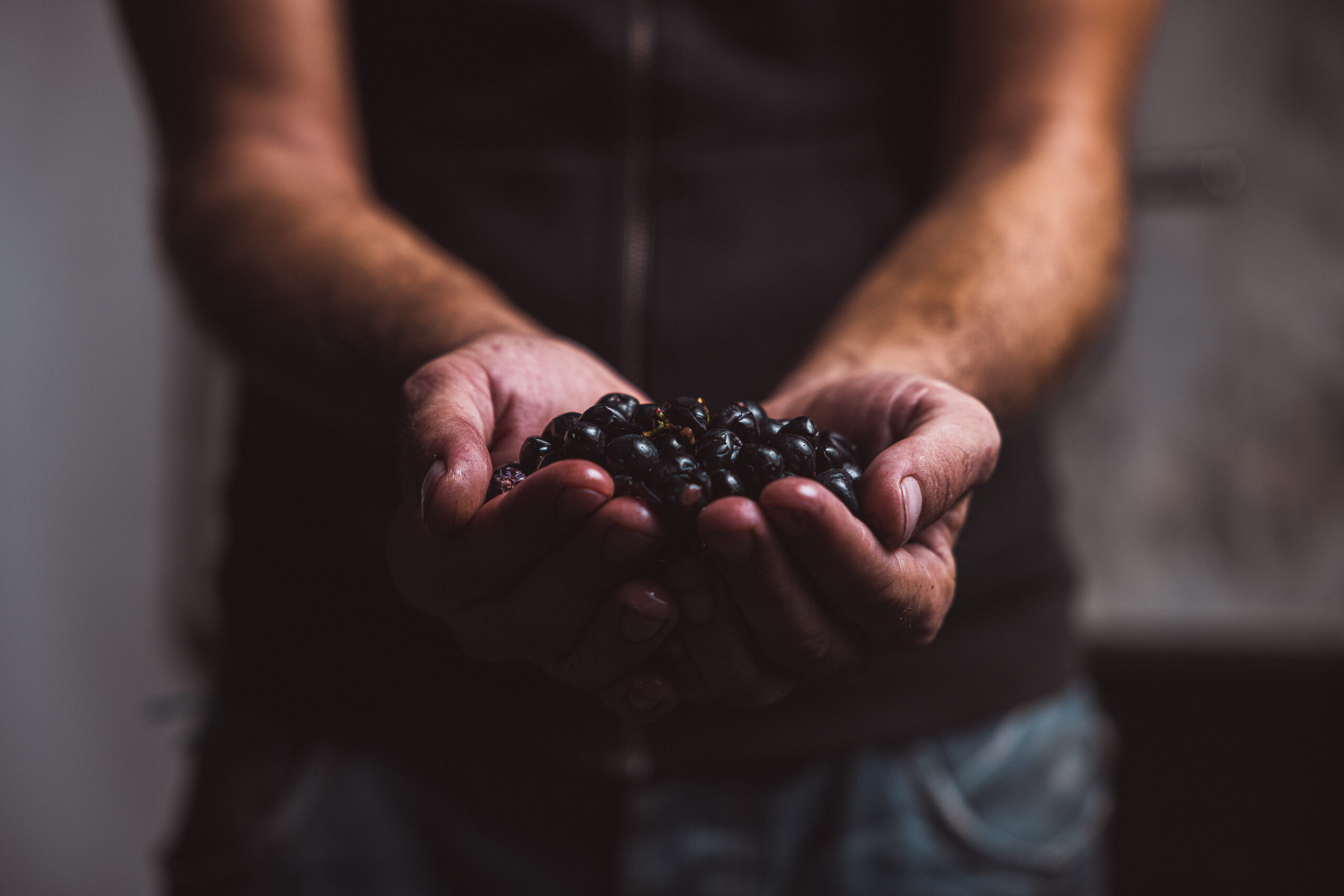 Château Laffitte Carcasset 2006